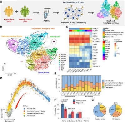 Frontiers | Global Characterization Of Peripheral B Cells In Parkinson’s Disease By Single-Cell ...